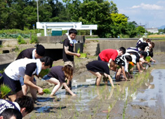 株式会社おーうえすと 求人 