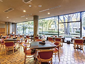 国立西洋美術館すいれん