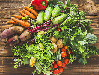 はなことばプラス杉並上井草39534／コンパスグループ・ジャパン