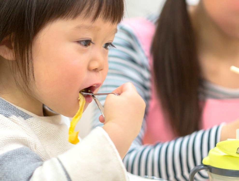 若葉会幼稚園／株式会社スエヒロ