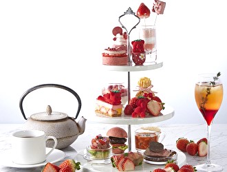 株式会社 スイーツプラス 求人