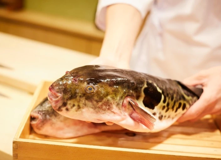 株式会社ザガット ふぐ免許を取得するサポート制度が充実しています。魚を扱うスキルが飛躍的に伸ばせる会社です！